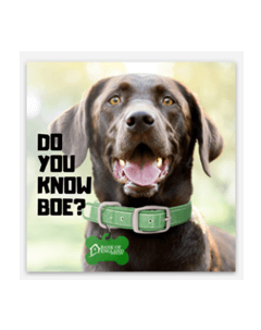 BOE Dog Sticker